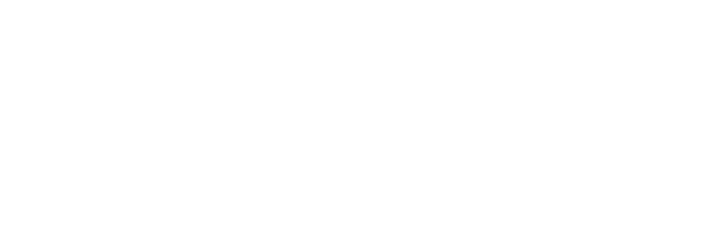 Programa Seaudaz